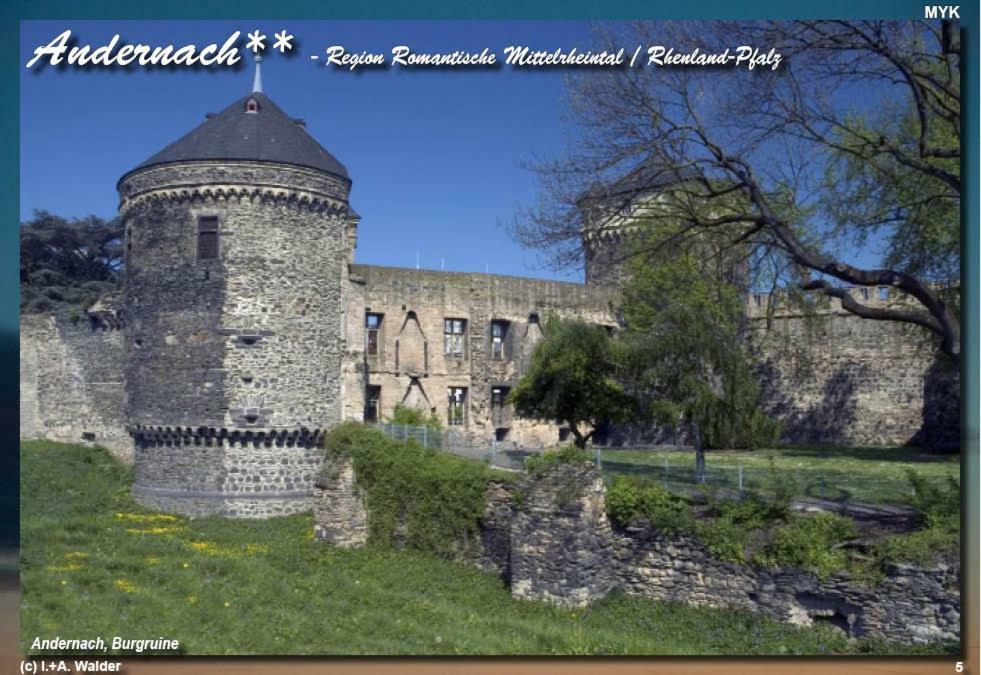 Ferienwohnung " Gecko 2 " Andernach Exterior photo